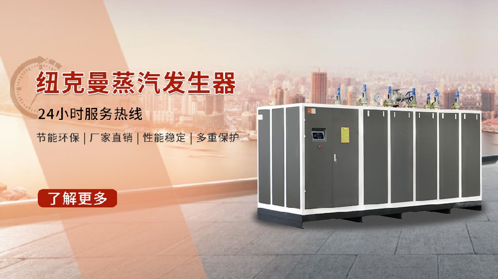 2025 年蒸汽发生器十大排名，选对不迷路！